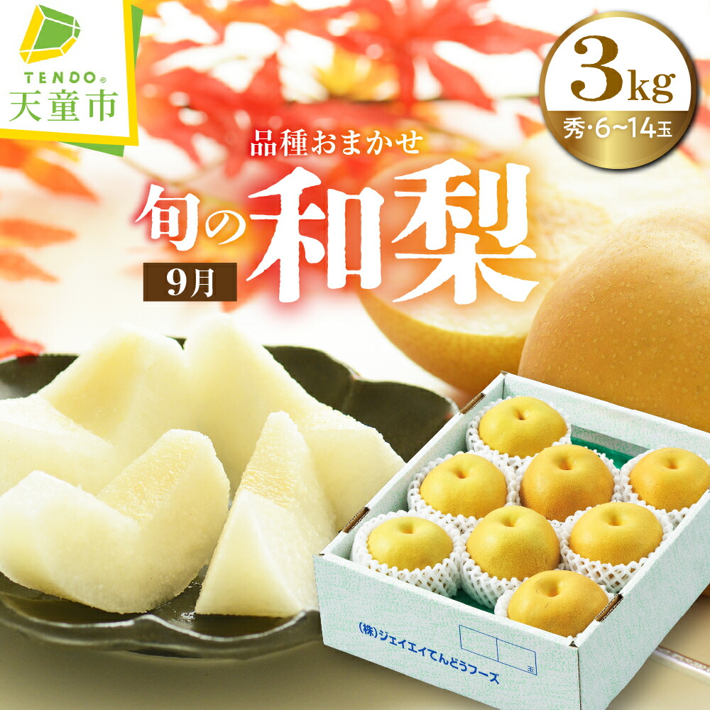 【楽天市場】【ふるさと納税】9月 旬 の 和梨 ( 品種 おまかせ ) 3kg 令和8年産 先行予約 2026年 梨 ナシ なし 果物 ...