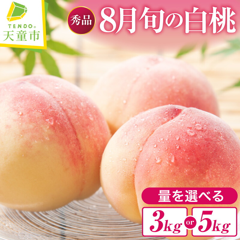【ふるさと納税】 もも ( 8月 旬 の 白桃 ) 選べる 3kg / 5kg 品種おまかせ 秀 先行予約 令和8年産 2026年産 桃 ピーチ peach フルーツ 果物 くだもの デザート 夏 旬 ご家庭用 のし 贈答 ギフト プレゼント お取り寄せグルメ 山形 産地直送 送料無料 【 山形県 天童市 】｜山形県天童市 7,600円