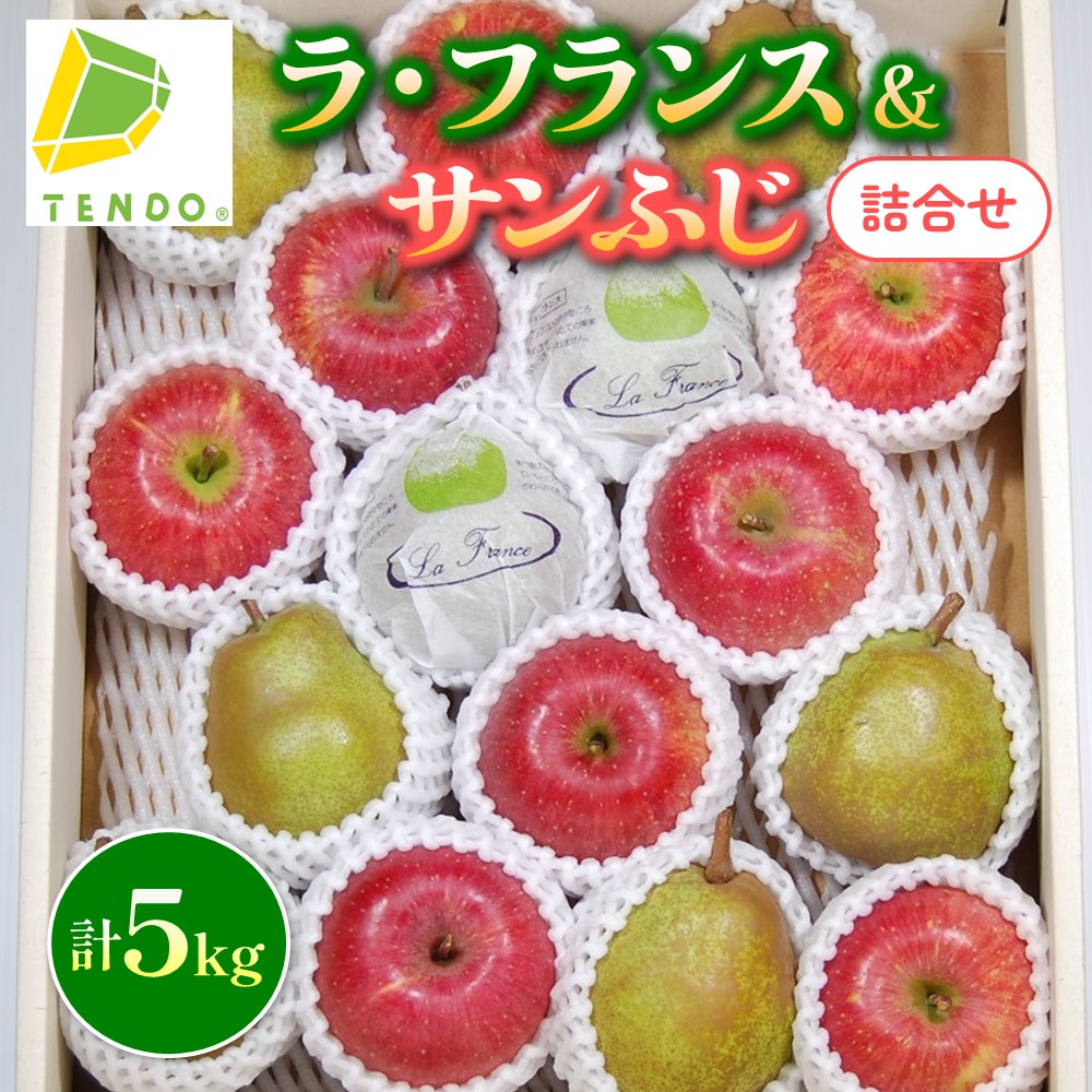 【ふるさと納税】【数量限定】ラ・フランス & サンふじ 詰合せ 5kg <br><br> ふじ りんご ラフランス 洋梨 果物 フルーツ 秀 各 6玉 ～ 9玉 ご家庭用 のし 贈答 ギフト プレゼント おすそ分け お取り寄せ 旬 秋 冬 期間限定 送料無料 先行予約 【 山形県 天童市 】