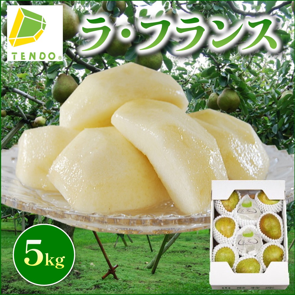 【ふるさと納税】【数量限定】ラ・フランス 5kg <br><br> ラフランス 洋梨 果物 フルーツ 6L ～ 2L 秀 10玉 ～ 18玉 家庭用 のし 贈答 ギフト プレゼント おすそ分け お取り寄せ 旬 秋 冬 期間限定 送料無料 先行予約 【 山形県 天童市 】