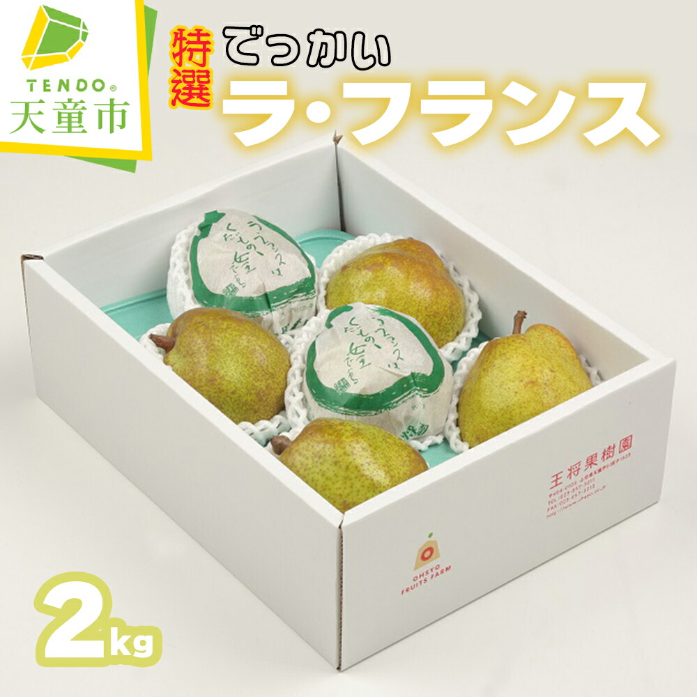 【ふるさと納税】 特選 でっかい ラ・フランス 2kg <br><br> ラフランス 洋梨 果物 フルーツ 秀 厳選 5玉 ～ 6玉 化粧紙包装 のし 贈答 ギフト プレゼント おすそ分け お取り寄せ 旬 秋 冬 期間限定 送料無料 先行予約 【 山形県 天童市 】