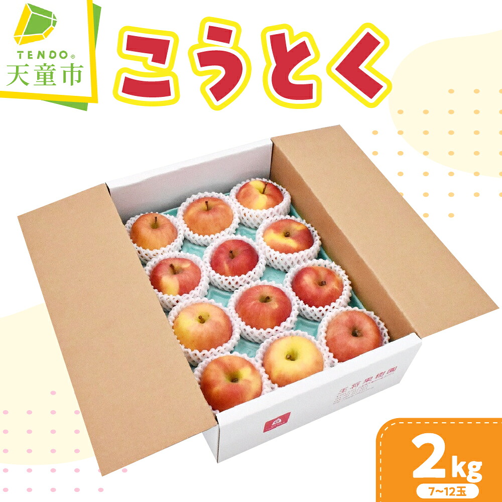 【ふるさと納税】 りんご ( こうとく ) 2kg 令和8年産 先行予約 2026年 高徳 幻の りんご 果物 フルーツ 7玉 ～ 12玉 小ぶり 希少 ご家庭用 のし 贈答 ギフト プレゼント おすそ分け お取り寄せ 旬 秋 期間限定 山形 産地直送 送料無料 【 山形県 天童市 】