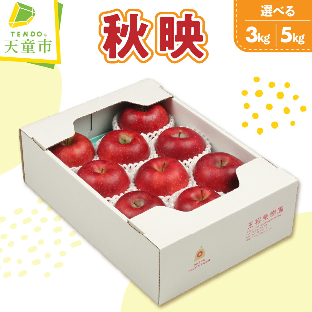 【ふるさと納税】 りんご ( 秋映 ) 選べる 3kg / 5kg 令和8年産 先行予約 2026年 リンゴ あきばえ 果物 フルーツ ご家庭用 のし 贈答 ギフト プレゼント おすそ分け お取り寄せ 旬 秋 期間限定 山形 産地直送 送料無料 【 山形県 天童市 】