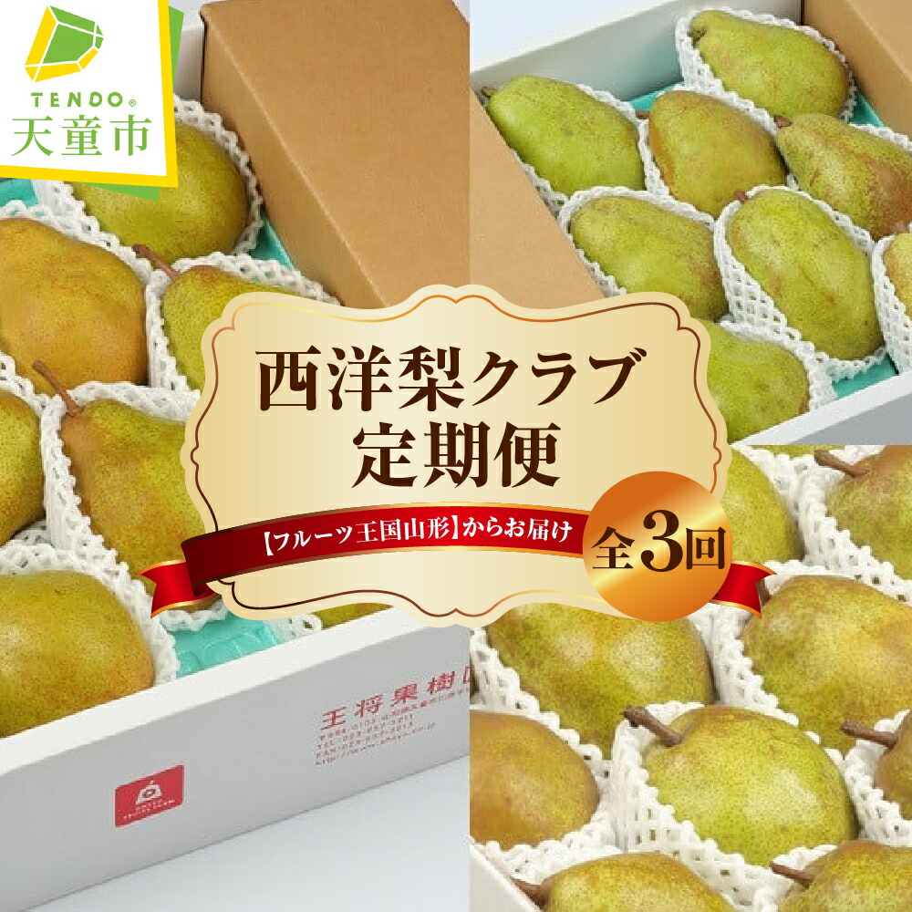 【ふるさと納税】 西洋梨クラブ ( 定期便 ) 全3回 <br><br> バラード ラフランス シルバーベル 3種類 各 3kg 洋なし 西洋梨 果物 フルーツ 家庭用 のし 贈答 ギフト プレゼント おすそ分け セット お取り寄せ 旬 秋 冬 期間限定 送料無料 先行予約 【 山形県 天童市 】