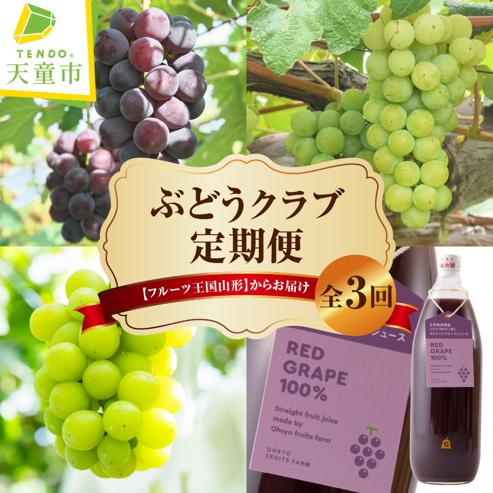 【ふるさと納税】 ぶどう クラブ ( 定期便 ) 令和8年産 先行予約 2026年 葡萄 ブドウ 果物 くだもの フルーツ 山形 お取り寄せ 産地直送 送料無料【 山形県 天童市 】