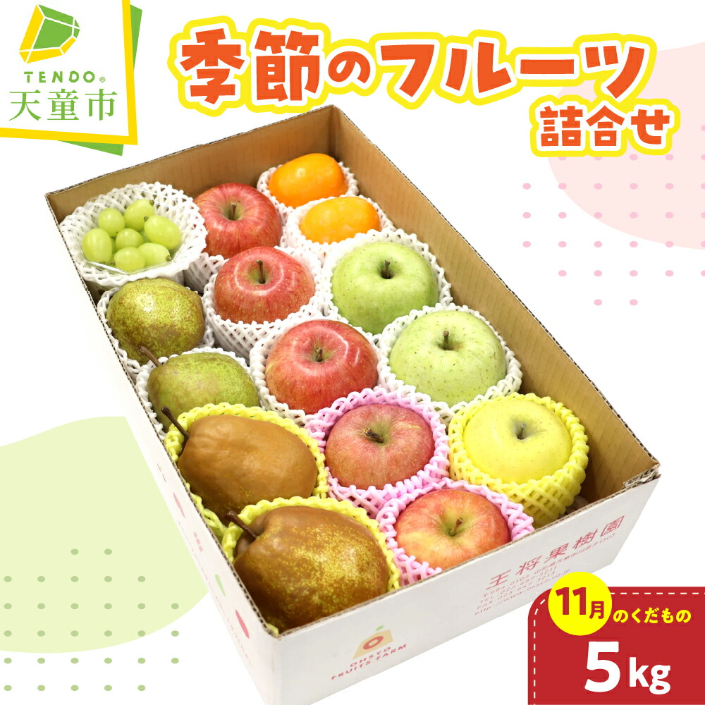 【ふるさと納税】 季節 の フルーツ 詰合せ 5kg ( 11月分 ) 令和8年産 先行予約 2026年 果物 くだもの フルーツ りんご 西洋梨 柿 ぶどう 山形 のし 贈答 お取り寄せグルメ 旬 産地直送 送料無料【 山形県 天童市 】｜山形県天童市