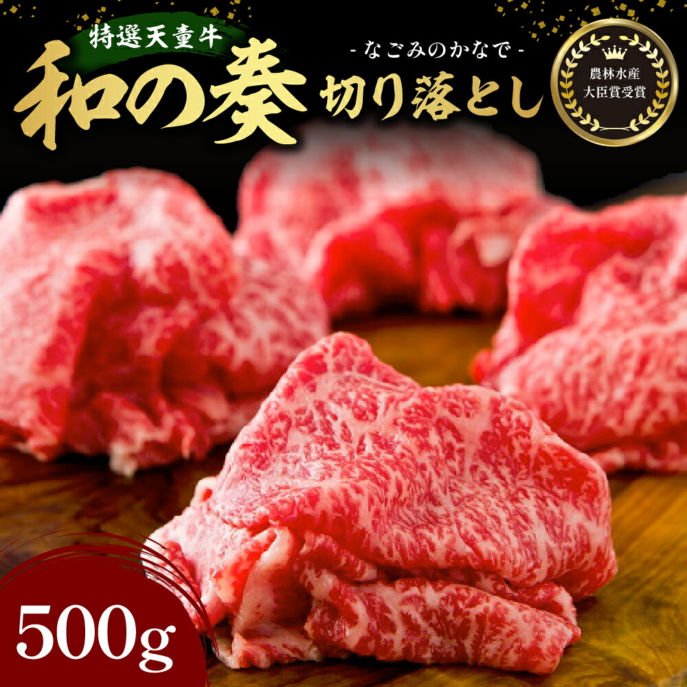 【ふるさと納税】 農林水産大臣賞受賞 特選 天童牛 \