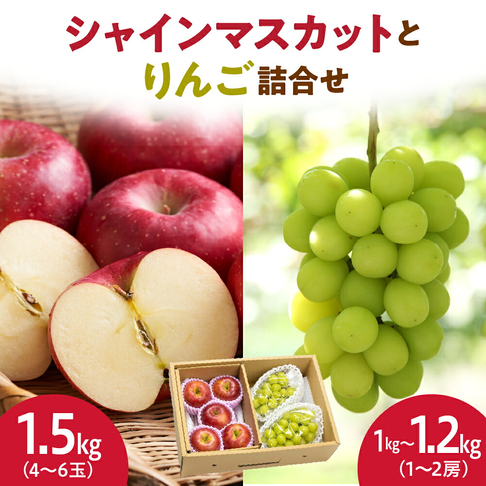 【ふるさと納税】シャインマスカット と りんご 詰合せ 2.5kg 令和8年産 先行予約 2026年 ぶどう 林檎 人気 おすすめ フルーツ 果物 くだもの 山形 お取り寄せ 産地直送 送料無料 【 山形県 天童市 】｜山形県天童市