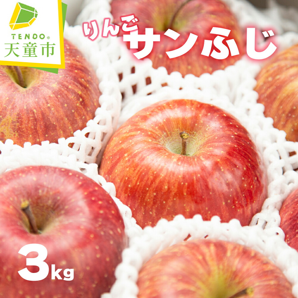 【ふるさと納税】 りんご ( サンふじ ) 3kg <br><br> ふじ りんご 果物 フルーツ 秀 10玉 ～ 11玉 のし 贈答 ギフト プレゼント おすそ分け お取り寄せ 旬 秋 冬 期間限定 送料無料 先行予約 【 山形県 天童市 】