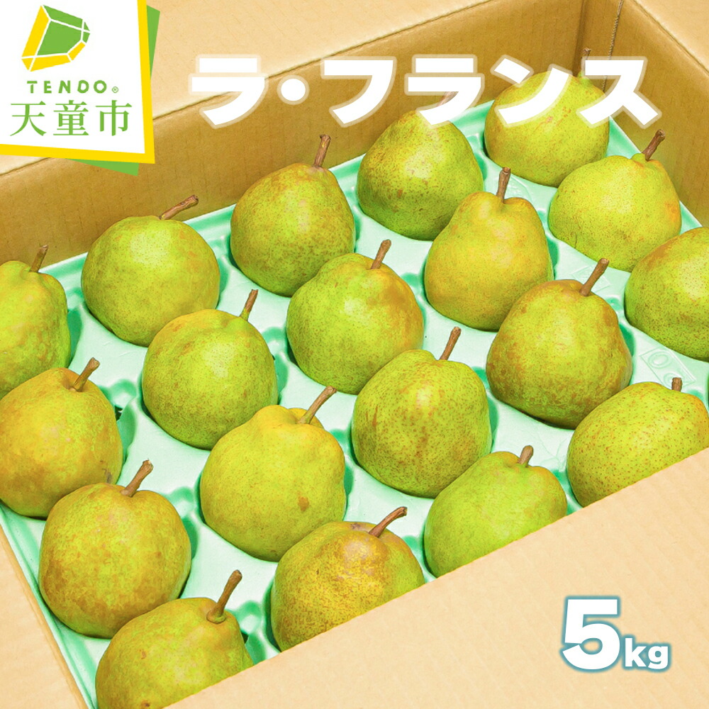 【ふるさと納税】 ラ・フランス 5kg <br><br> ラフランス 洋梨 果物 フルーツ 秀 18玉 ～ 20玉 ご家庭用 のし 贈答 ギフト プレゼント おすそ分け お取り寄せ 旬 秋 冬 期間限定 送料無料 先行予約 【 山形県 天童市 】