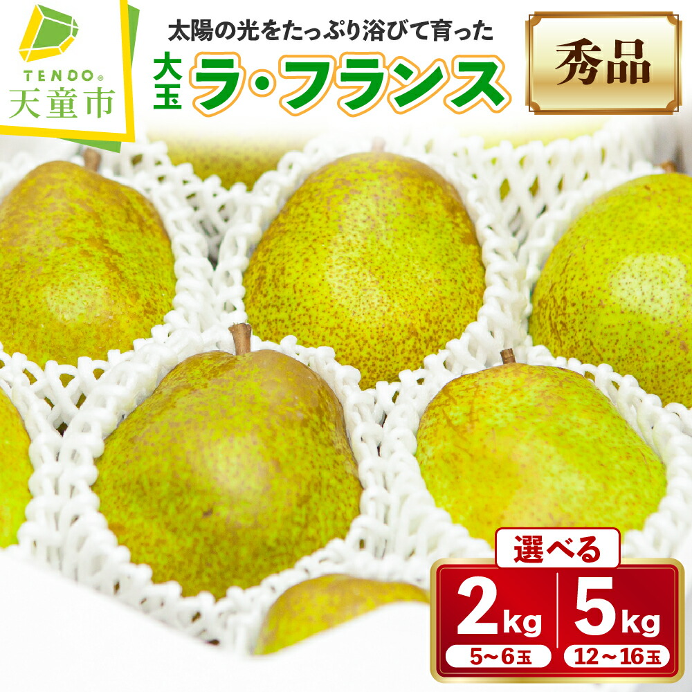 【ふるさと納税】 大玉 ラ・フランス 選べる 2kg / 5kg <br><br> ラフランス 洋梨 果物 フルーツ 秀 のし 贈答 ギフト プレゼント おすそ分け お取り寄せ 旬 秋 冬 期間限定 送料無料 先行予約 【 山形県 天童市 】