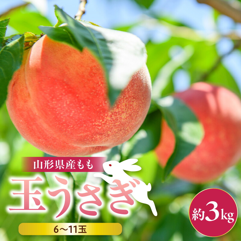 【ふるさと納税】 もも ( 大玉 玉うさぎ ) 約 3kg 秀 先行予約 令和8年産 2026年産 桃 白桃 ピーチ peach フルーツ 果物 くだもの デザート 夏 8月 9月 旬 冷蔵 ご家庭用 のし 贈答 ギフト プレゼント お取り寄せグルメ 山形 産地直送 送料無料 【 山形県 天童市 】|山形県天童市