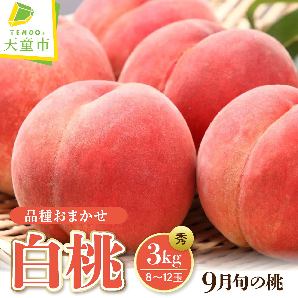 【ふるさと納税】もも( 9月 品種 おまかせ 白桃 ) 3kg 桃 先行予約 令和8年産 2026年産 やわらかめ ピーチ peach 果物 くだもの デザート フルーツ 秋 旬 お取り寄せグルメ 産地直送 送料無料 【 山形県 天童市 】|山形県天童市