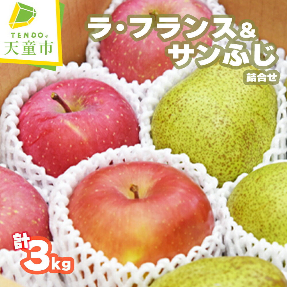 【ふるさと納税】 ラ・フランス & サンふじ 詰合せ 3kg <br><br> ラフランス 洋梨 ふじ りんご 果物 フルーツ セット 約 9玉 ～ 13玉 のし 贈答 ギフト プレゼント おすそ分け お取り寄せ 旬 秋 冬 期間限定 送料無料 先行予約 【 山形県 天童市 】