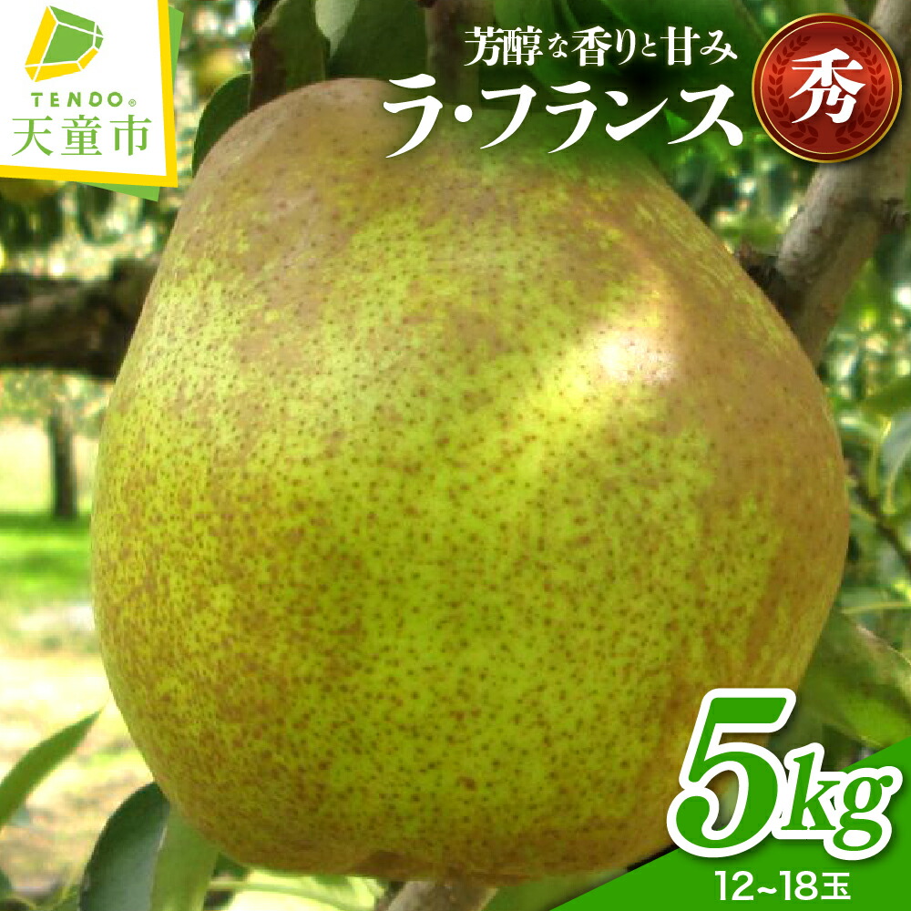 【ふるさと納税】 ラフランス 5kg <br><br> ラ・フランス 洋梨 果物 フルーツ ご家庭用 贈答 ギフト プレゼント おすそ分け お取り寄せ 旬 秋 冬 期間限定 山形 産地直送 送料無料 先行予約 【 山形県 天童市 】