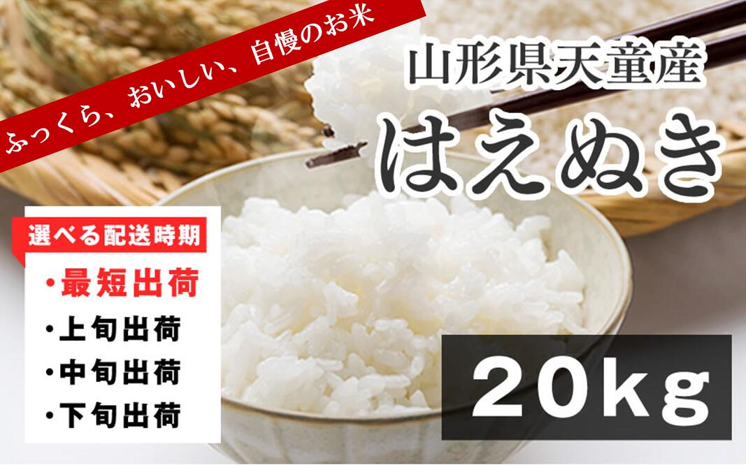海外輸入 楽天市場 ふるさと納税 はえぬきkg 令和2年産 山形県 天童市 山形県天童市 残りわずか Lexusoman Com