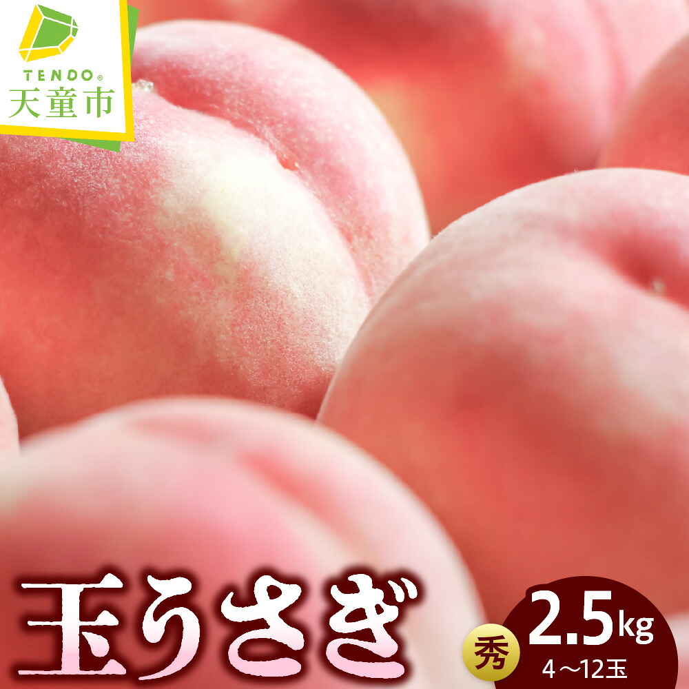 【ふるさと納税】もも ( 玉うさぎ ) 2.5kg 秀品 4~12玉 先行予約 令和8年産 2026年産 桃 白桃 ピーチ peach 果物 くだもの デザート 旬 冷蔵 お取り寄せグルメ 産地直送 送料無料【 山形県 天童市 】|山形県天童市