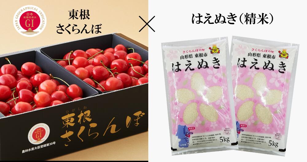 楽天市場】【ふるさと納税】2023年産 もも「川中島白桃」5kg JA提供 お取り寄せ 送料無料 山形県 東根市 P-2326 : 山形県東根市