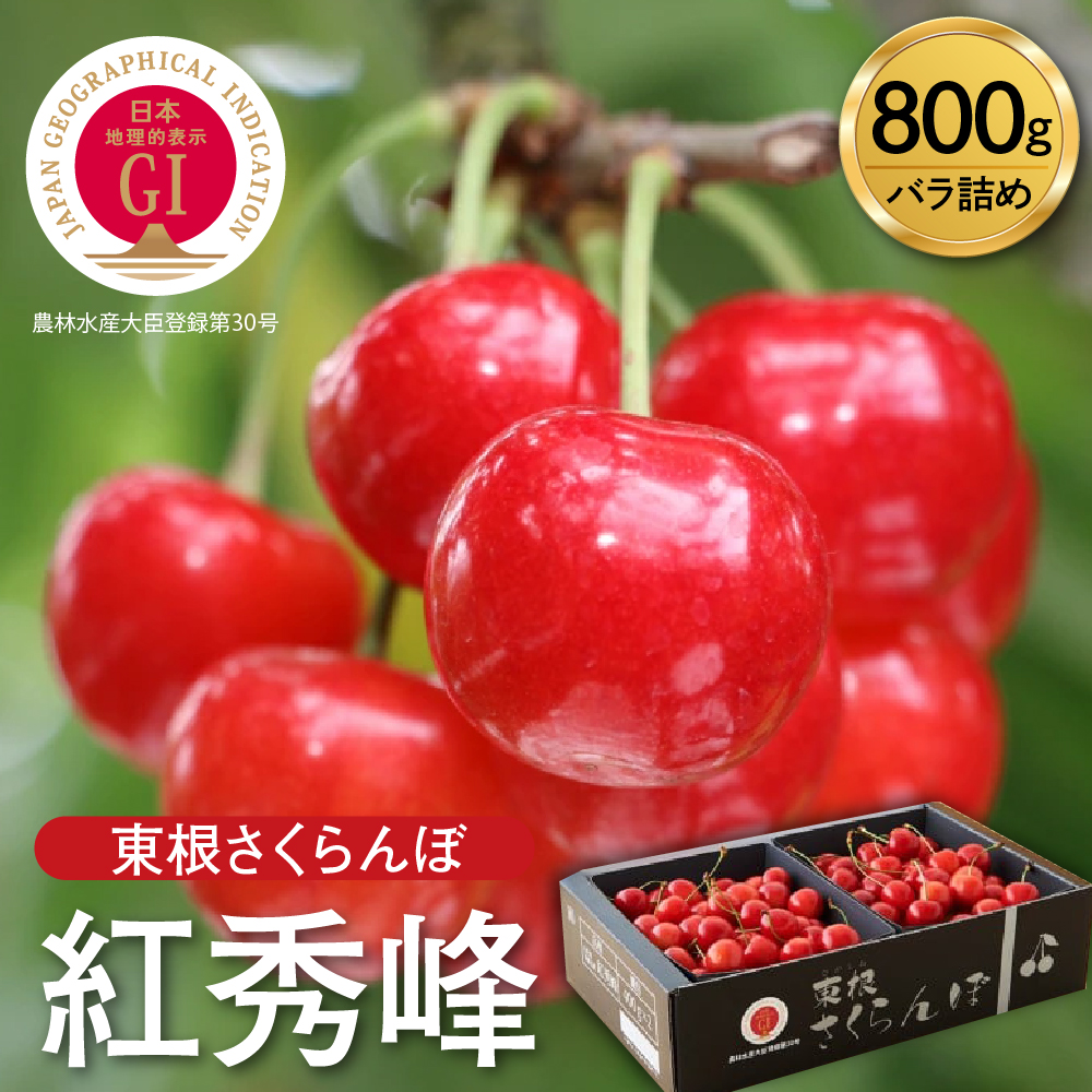 楽天市場】【ふるさと納税】2026年 さくらんぼ 「 やまがた紅王