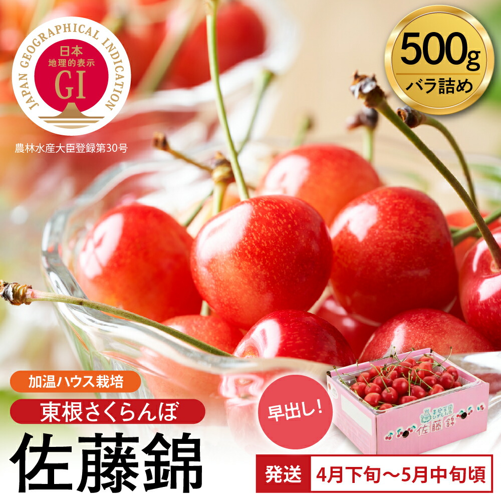 楽天市場】【ふるさと納税】＼先取り5月発送／ 2026年産 GI 佐藤