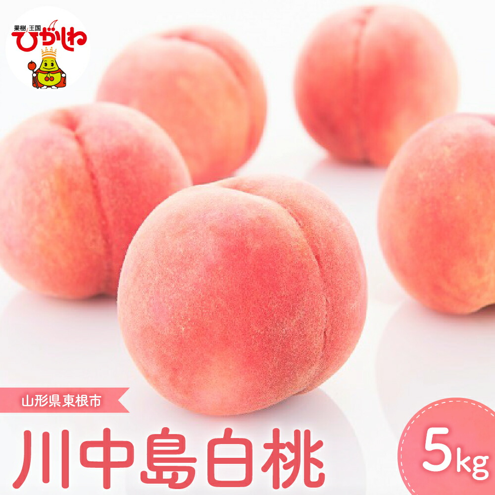 【ふるさと納税】2025年産 先行予約 もも 川中島 白桃 5kg<br><br>/ 桃 モモ フルーツ 果物 くだもの 川中島白桃 期間限定 大容量 冷蔵配送 お取り寄せ ご当地 特産 産地直送 送料無料 東北 山形県 東根市
