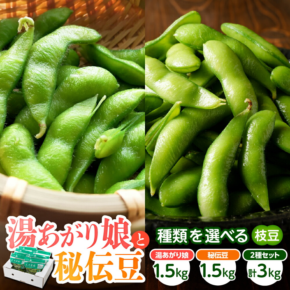 【ふるさと納税】【2026年 先行予約】 選べる枝豆 「 湯あがり娘 と 秘伝豆」 1.5kg / 3kg えだまめ エダマメ 豆 茶豆 風味 8月 旬 夏野菜 小分け 個袋 茹で 生枝豆 おつまみ 晩酌 ビールのお供 国産 特産品 お取り寄せ 山形 産地直送 限定 送料無料 山形県 東根市