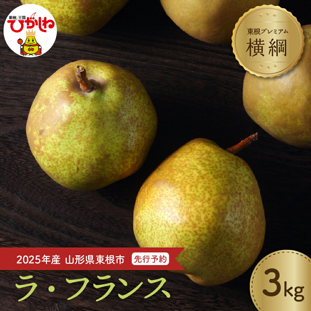 【ふるさと納税】 2025年産 先行予約 洋なし 【 横綱 】ラ・フランス 3kg <br><br>/ ラフランス 洋なし 洋梨 ようなし フルーツ 果物 東北 山形県 東根市 送料無料