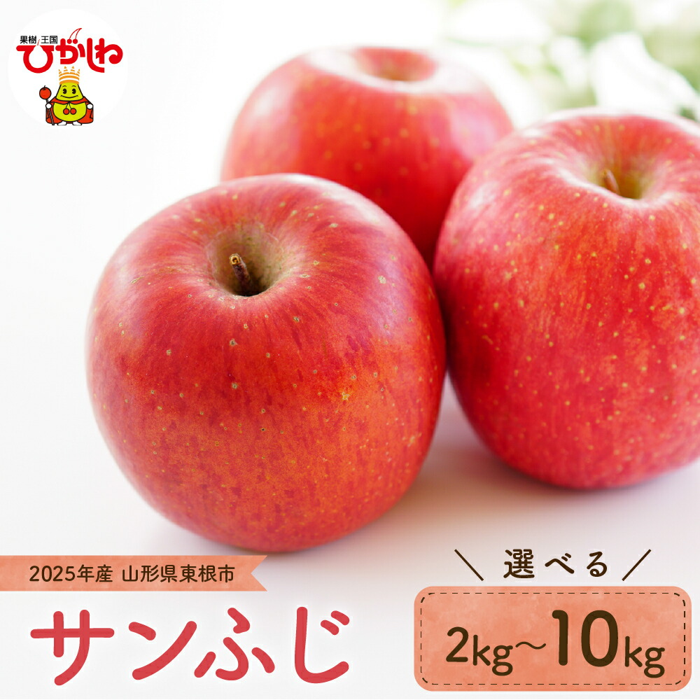 【ふるさと納税】りんご「サンふじ」 2025年産 選べる内容量 2kg 3kg 5kg 10kg <br><br>/ リンゴ 林檎 アップル フルーツ 果物 くだもの 秋 旬 お試し お取り寄せ 産地直送 ご当地 特産 グルメ 送料無料 東北 山形県 東根市