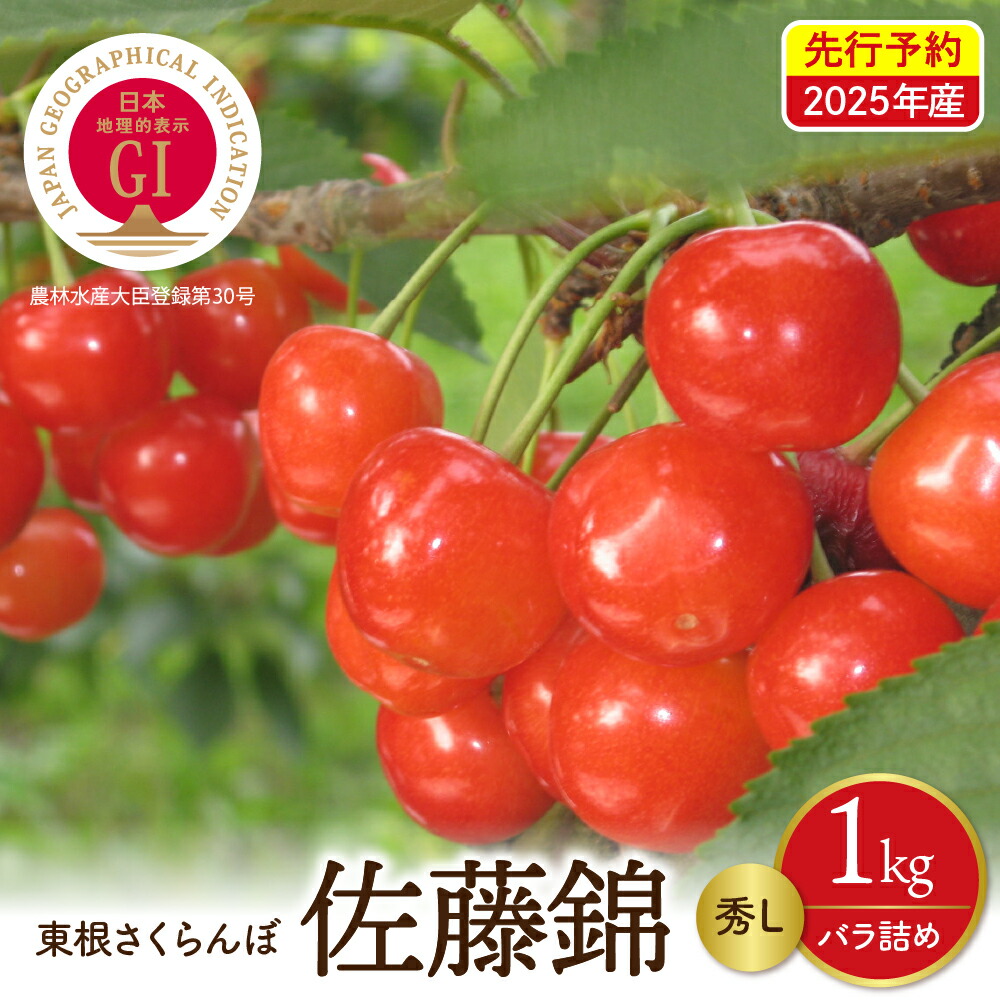 【ふるさと納税】【 2025年産 先行予約 】GI 東根 さくらんぼ 佐藤錦 秀L バラ詰め 1kg ( 500g ×2P ) <br><br>フルーツ 果物 くだもの サクランボ チェリー 期間限定 冷蔵配送 大容量 ご当地 特産 産地直送 送料無料 お取り寄せグルメ 東北 山形県 東根市