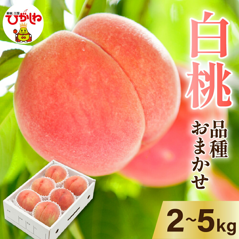 【ふるさと納税】 2025年産 先行予約 白桃 品種おまかせ ( 選べる内容量 2kg 3kg 5kg ) <br><br> 桃 もも モモ ピーチ フルーツ 果物 くだもの 箱入り 化粧箱 期間限定 大容量 冷蔵配送 先行予約 取り寄せ グルメ ご当地 特産 産地 直送 送料無料 東北 山形県 東根市