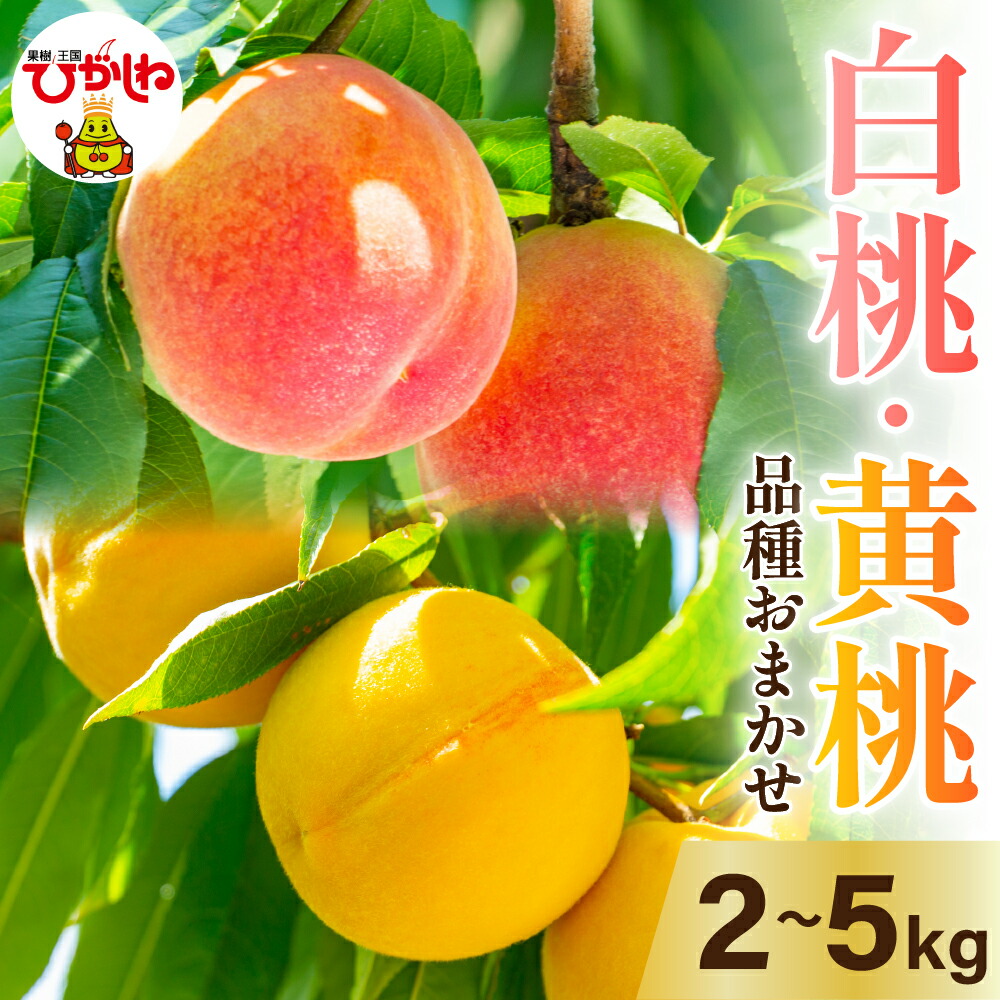【ふるさと納税】 2025年産 白桃 黄桃 詰め合わせ 品種おまかせ ( 選べる内容量 2kg 3kg 5kg ) <br><br>/ 桃 もも モモ ピーチ フルーツ 果物 くだもの セット・詰め合わせ 箱入り 化粧箱 冷蔵配送 期間限定 先行予約 お取り寄せ 産地直送 東北 山形県 東根市