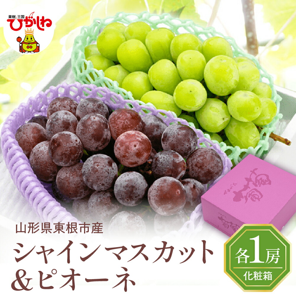 【ふるさと納税】2025年 ぶどう「 シャインマスカット ＆ ピオーネ 」各1房 約1.2kg (600g×2) <br><br> ブドウ 葡萄 フルーツ 果物 くだもの 期間限定 箱入り 化粧箱 産地直産 ご当地 お取り寄せグルメ 秋 旬 お取り寄せ 東北 山形県 東根市産