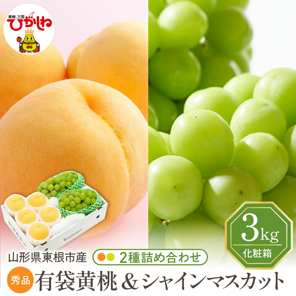 【ふるさと納税】2025年 先行予約 黄桃 シャインマスカット 詰め合わせ 3kg <br><br>/ 山形 桃 ぶどう マスカット 葡萄 ブドウ フルーツ 果物 セット 箱入り 化粧箱 期間限定 大容量 先行予約 お取り寄せ グルメ ご当地 特産 産地直送 送料無料