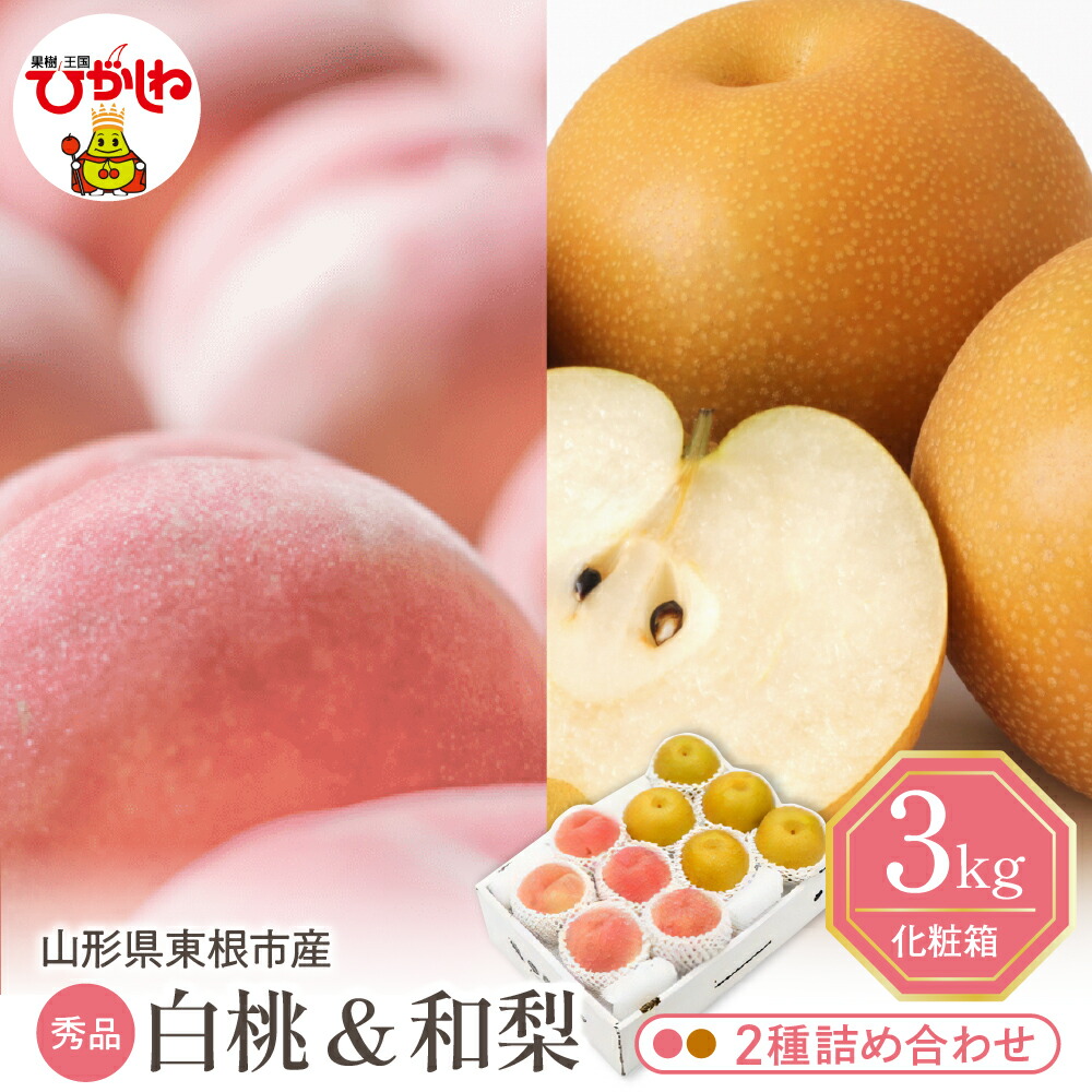 【ふるさと納税】2025年 先行予約 白桃 和梨 詰め合わせ 3kg <br><br>/ 桃 ナシ 梨 フルーツ くだもの 果物 セット 箱入り 化粧箱 期間限定 大容量 先行予約 取り寄せ グルメ ご当地 特産 産地 直送 送料無料