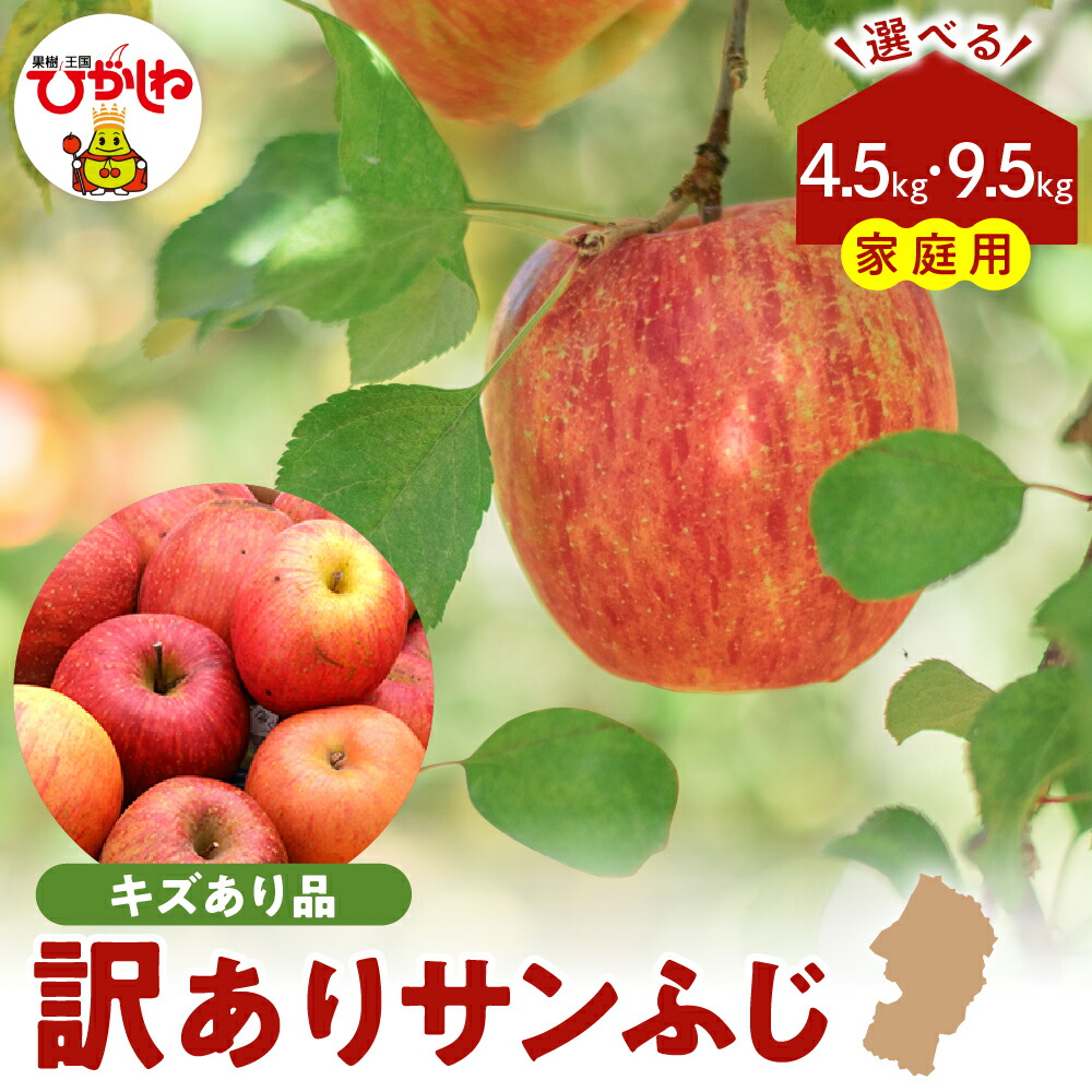 【ふるさと納税】 令和7年産 訳あり りんご サンふじ (選べる : 4.5kg / 9.5kg )<br><br>/ リンゴ アップル さんふじ 家庭用 規格外 不揃い フルーツ 果物 くだもの 化粧箱 期間限定 産地直産 ご当地 お取り寄せグルメ 送料無料 国産 東北 山形県 東根市