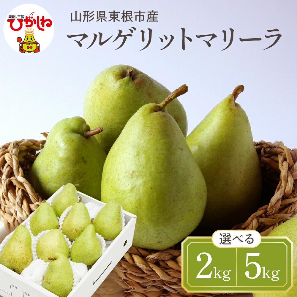 【ふるさと納税】【令和7年産 先行予約】 西洋梨 マルゲリットマリーラ ( 選べる内容量 : 2kg / 5kg ) 秀品 化粧箱入り <br><br>/ 洋なし 洋梨 洋ナシ フルーツ 果物 くだもの 化粧箱 期間限定 産地直産 ご当地 お取り寄せグルメ 送料無料 国産 東北 山形県 東根市
