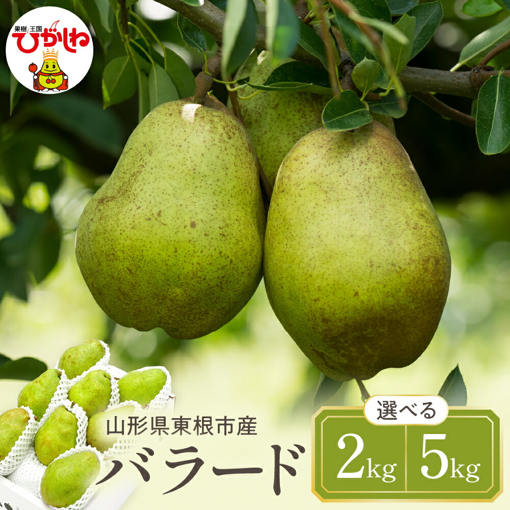 【ふるさと納税】【令和7年産 先行予約】西洋梨 バラード ( 選べる内容量 : 2kg / 5kg ) 秀品 化粧箱入り <br><br>/ 洋なし 洋梨 洋ナシ フルーツ 果物 くだもの 化粧箱 期間限定 産地直産 ご当地 お取り寄せグルメ 送料無料 国産 東北 山形県 東根市