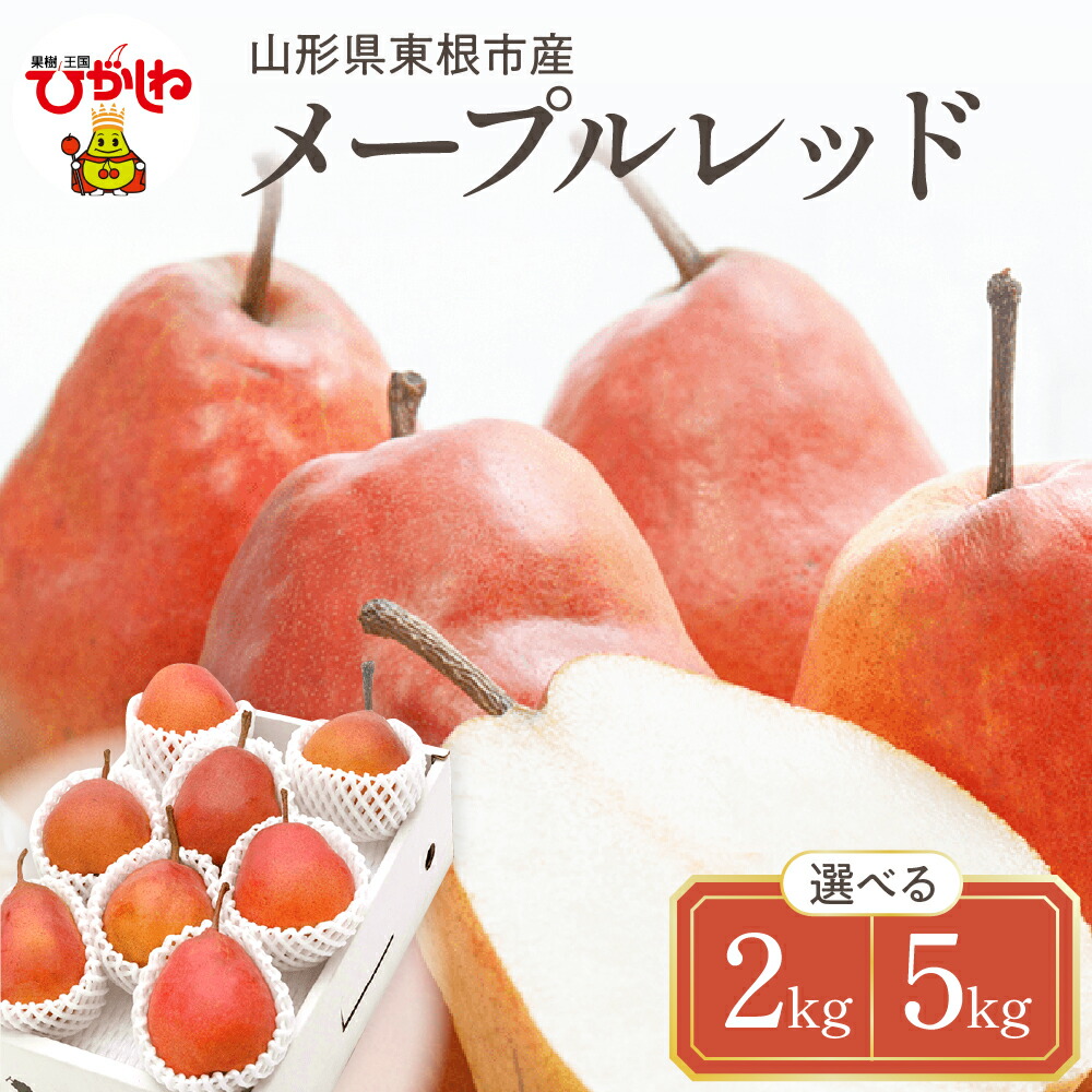 【ふるさと納税】【令和7年産 先行予約】 西洋梨 メープルレッド ( 選べる内容量 : 2kg / 5kg ) 秀品 化粧箱入り <br><br>/ 洋梨 洋ナシ 洋なし 梨 フルーツ 果物 くだもの お取り寄せ 産地直送 送料無料 東北 東根市