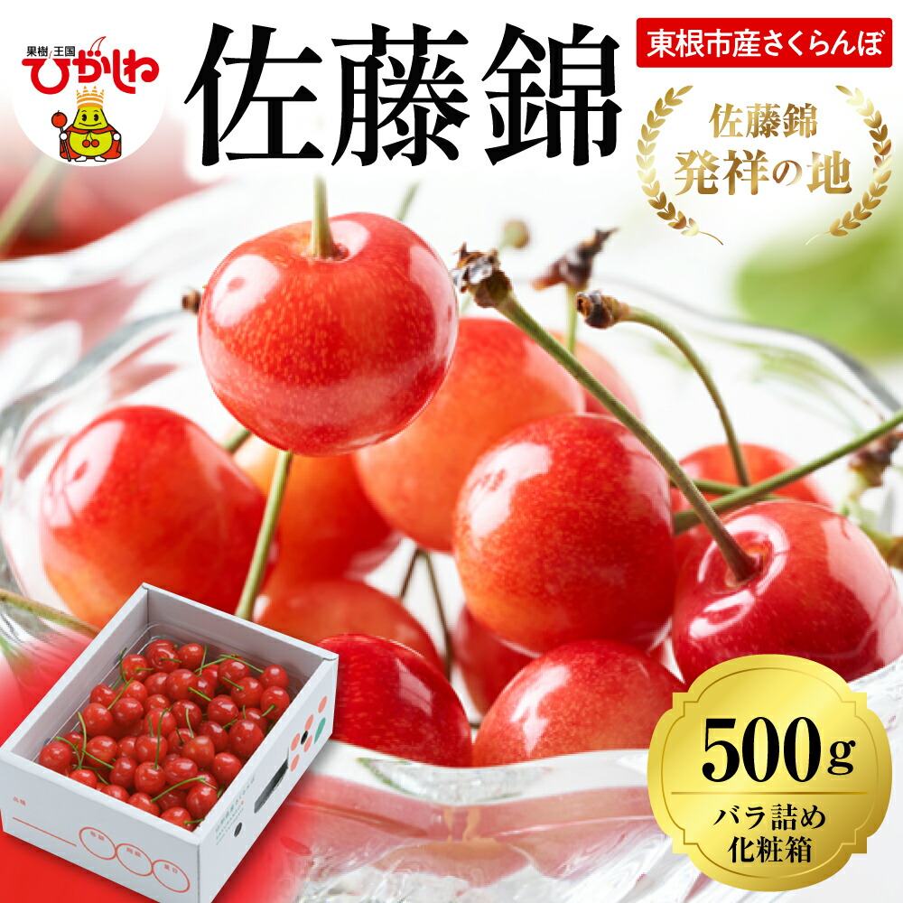 【ふるさと納税】 2025年 さくらんぼ 佐藤錦 500g ( 500g × 1ﾊﾟｯｸ )<br><br>/ サクランボ フルーツ 果物 くだもの 箱入り 化粧箱 バラ詰め 贈り物 ギフト 贈答 冷蔵 期間限定 冷蔵配送 先行予約 送料無料 東北 山形県 東根市《6/5～6/20順次出荷予定》