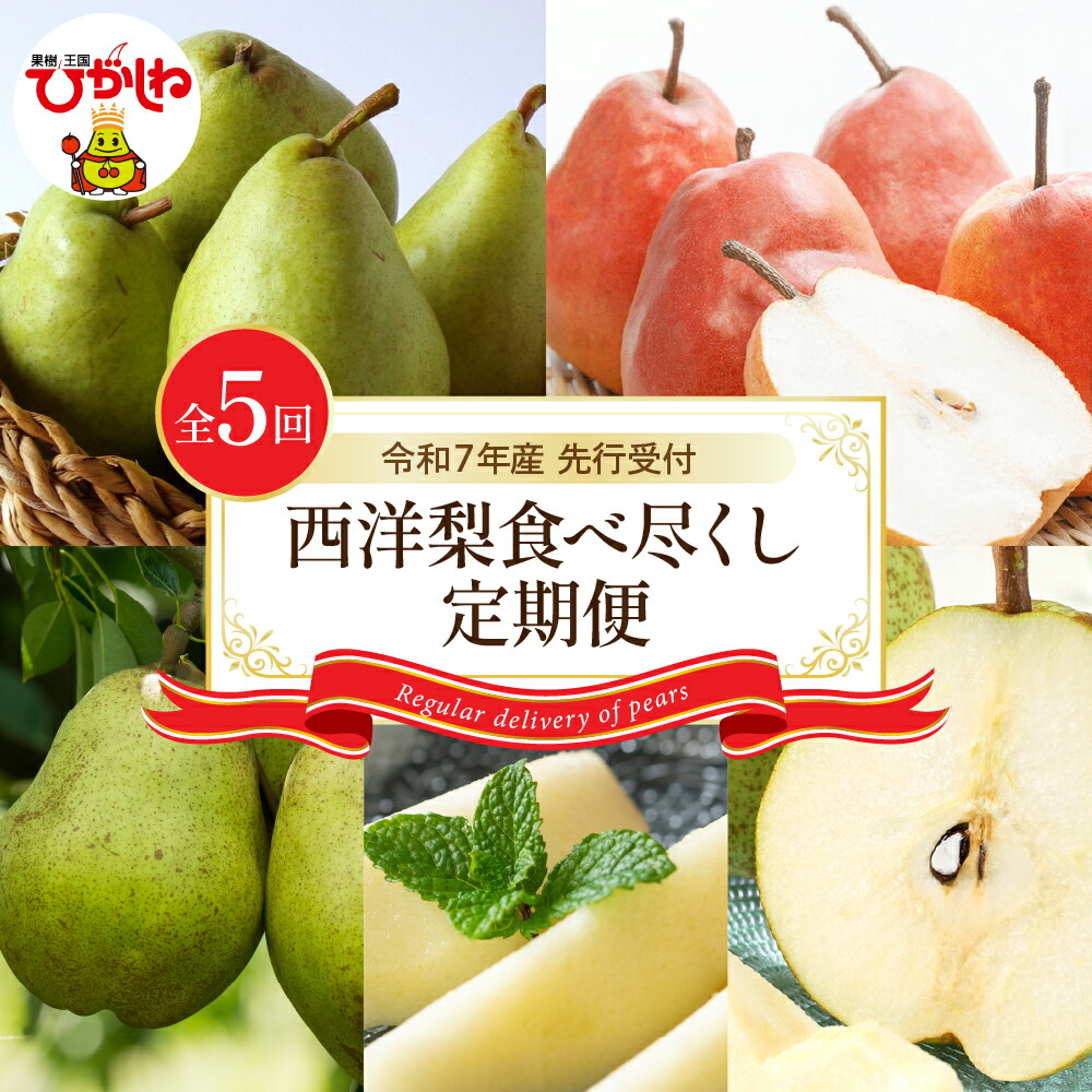 【ふるさと納税】［定期便 全5回］ 令和7年産 先行予約 西洋梨 食べ尽くし 定期便 <br><br>/ 洋なし 洋梨 洋ナシ マルゲリットマリーラ バラード メープルレッド ラフランス エルドラド果物 フルーツ くだもの 取り寄せ ご当地 特産 産地 直送 送料無料 山形県 東根市