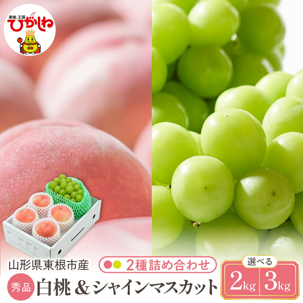 【ふるさと納税】2026年 先行予約 白桃 & シャインマスカット 詰め合わせ ( 選べる : 約 2kg / 約 3kg ) | 桃 品種おまかせ ぶどう 葡萄 マスカット フルーツ くだもの 果物 セット 箱入り 化粧箱 期間限定 大容量 先行予約 取り寄せ ご当地 特産 産地 直送 送料無料