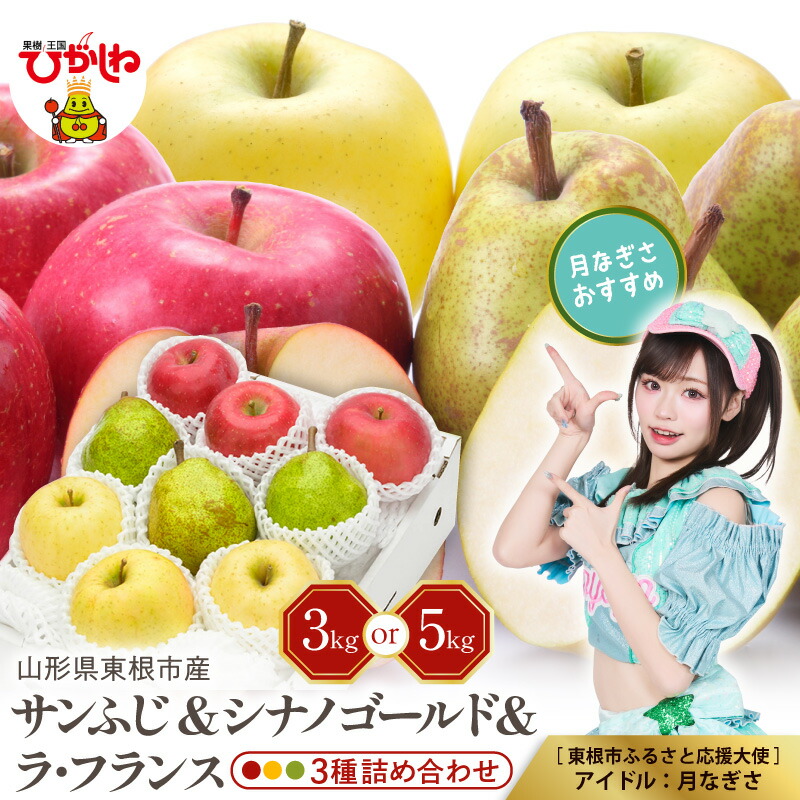 【ふるさと納税】2026年産 サンふじ シナノゴールド ラフランス 3種 ( 選べる: 3kg / 5kg ) | りんご 林檎 リンゴ 西洋梨 洋ナシ 洋なし フルーツ 果物 くだもの セット 限定 お取り寄せ 送料無料 山形 産地直送 山形県 東根市