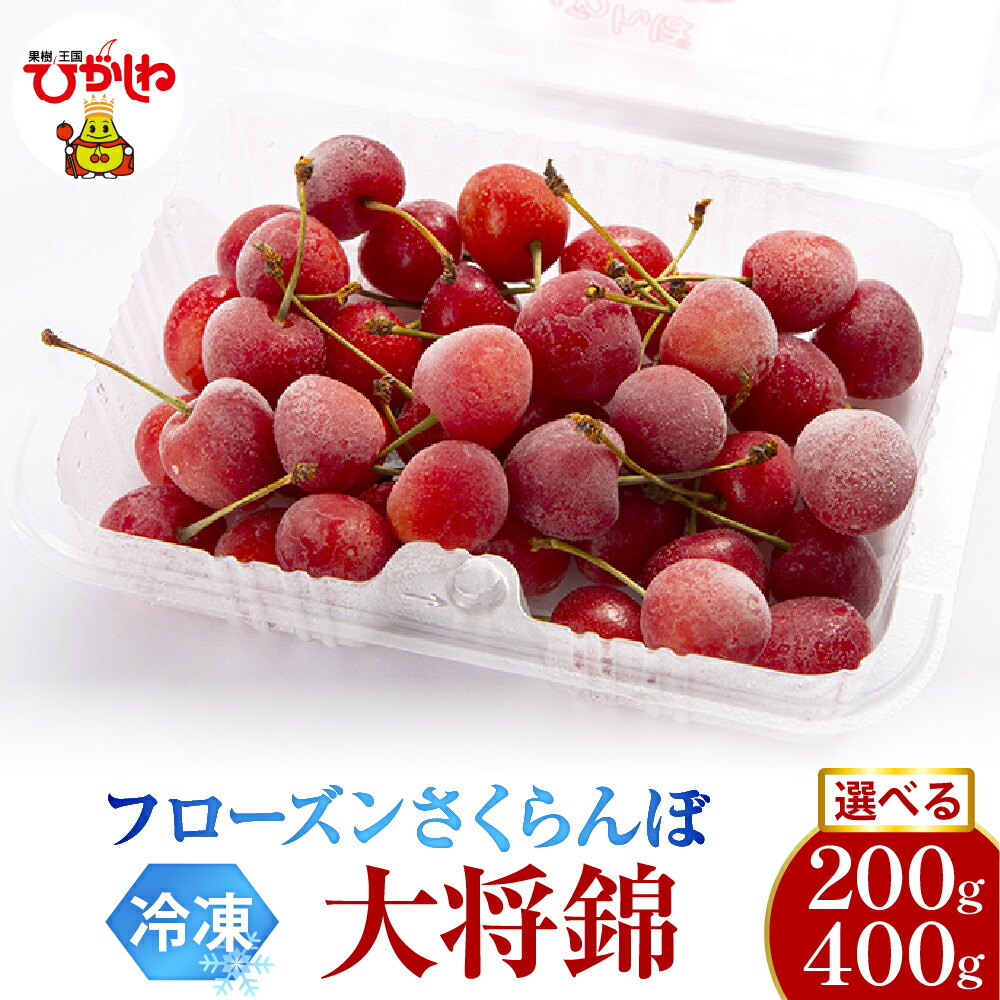 【ふるさと納税】フローズン さくらんぼ 大将錦 2L玉 200g  (選べる: 200g 1パック / 2パック )<br><br>/ 冷凍 冷凍フルーツ 冷凍さくらんぼ 急速冷凍 サクランボ フルーツ 果物 くだもの デザート シャーベット トッピング 国産 産地直送 お取り寄せ 送料無料 山形県 東根市