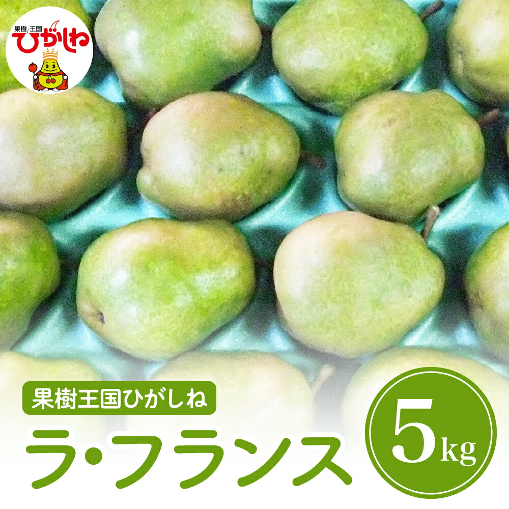 【ふるさと納税】 2025年産 洋梨「 ラ・フランス 」 5kg <br><br>/ 洋なし 洋梨 洋ナシ 西洋梨 ラフランス フルーツ 果物 くだもの お取り寄せ グルメ ご当地 特産 産地 直送 農家直送 産地直送 山形県 東根市