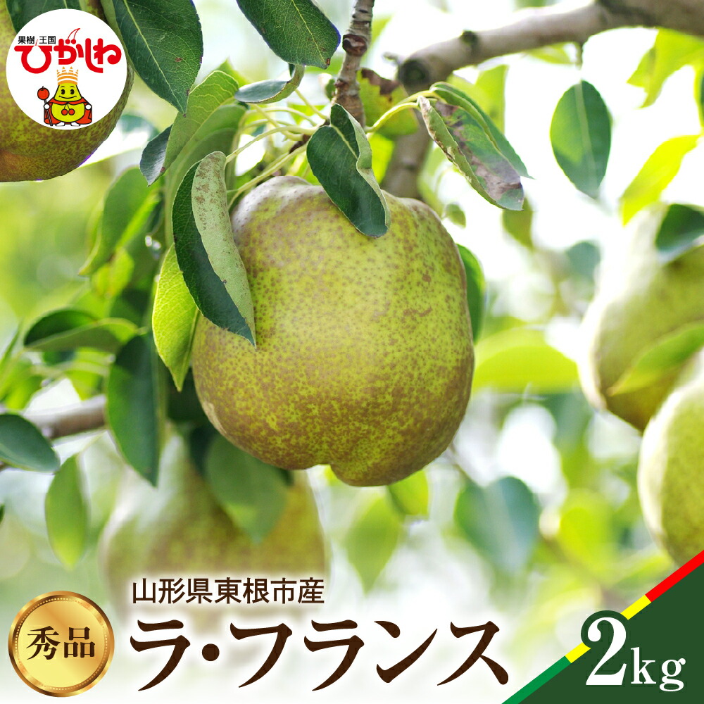 【ふるさと納税】【 2025年産 先行予約 】 ラ・フランス 秀品 2kg  <br><br>/ ラフランス 洋梨 洋ナシ 洋なし 西洋梨 フルーツ 果物 くだもの 産地直送 期間限定 特産品 お取り寄せ グルメ 旬 秋 東北 山形県 東根市