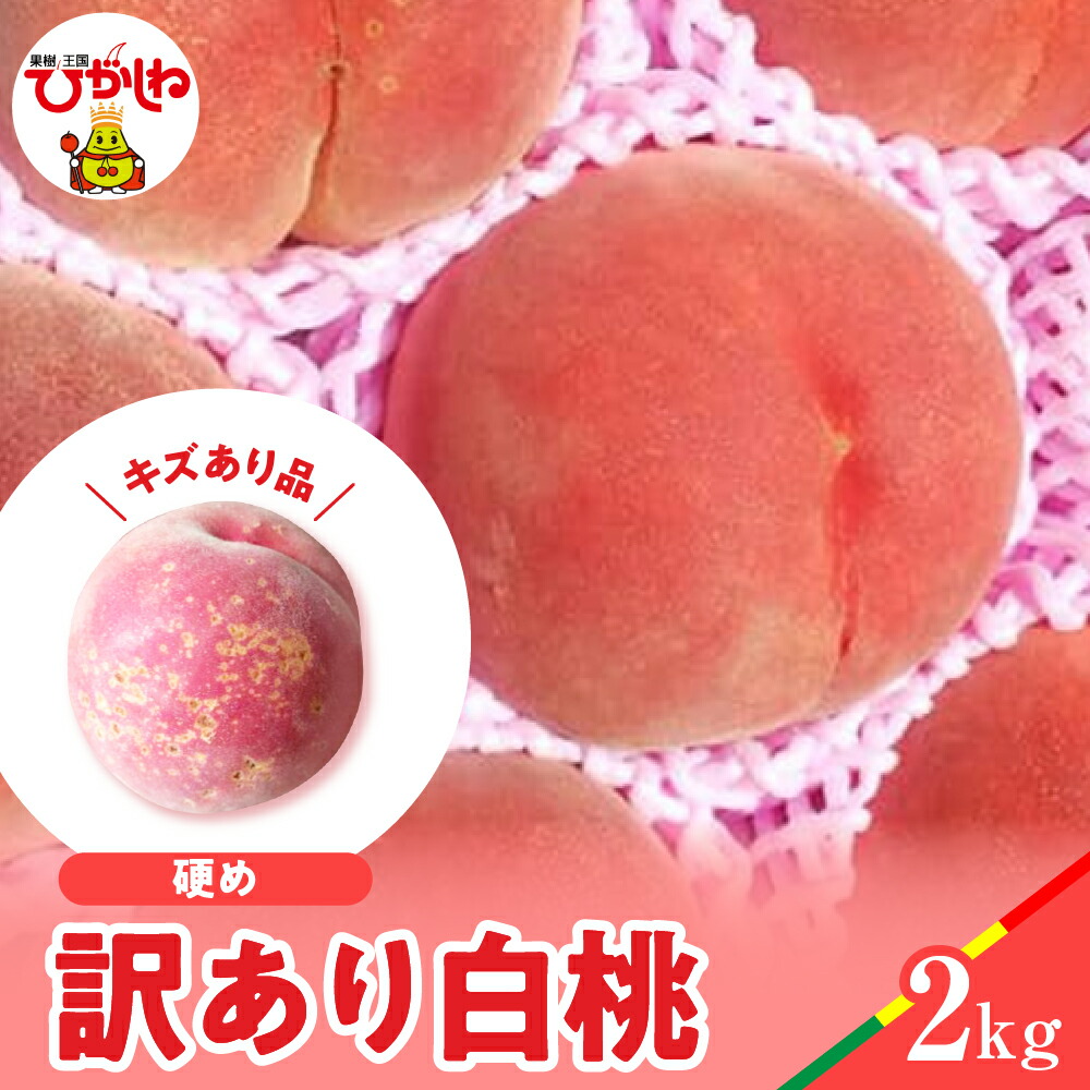 【ふるさと納税】【 2025年産 先行予約 】 白桃 品種おまかせ 訳あり 2kg (硬め)<br><br>/ 桃 もも モモ ピーチ フルーツ 果物 くだもの 訳アリ 傷 規格外 不揃い 期間限定 大容量 冷蔵配送 先行予約 取り寄せ グルメ ご当地 特産 産地 直送 送料無料 東北 山形県 東根市