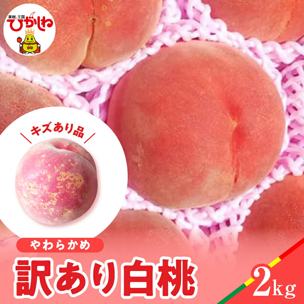 【ふるさと納税】【 2025年産 先行予約 】 白桃 品種おまかせ 訳あり 2kg (やわらかめ)<br><br>桃 もも モモ ピーチ フルーツ 果物 くだもの 訳アリ 傷 規格外 不揃い 期間限定 大容量 冷蔵配送 先行予約 取り寄せ グルメ ご当地 特産 産地 直送 送料無料 東北 山形県 東根市