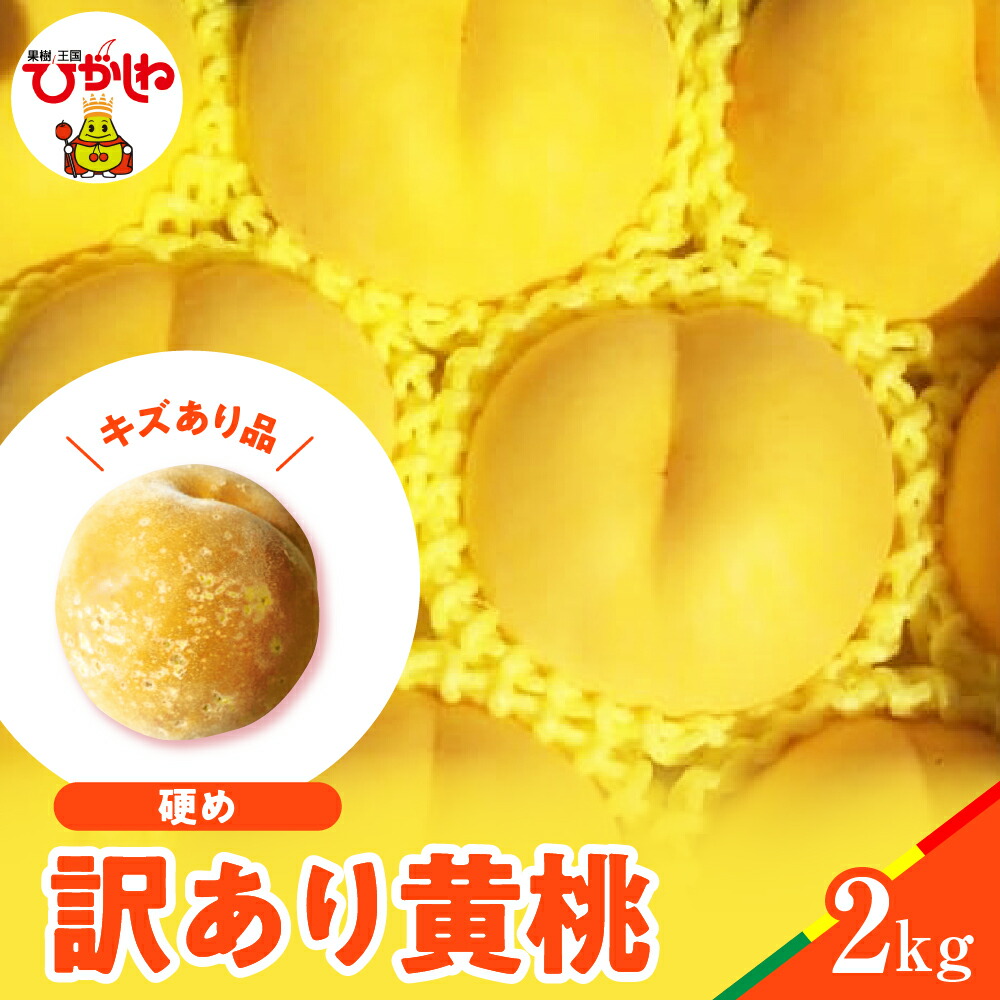 【ふるさと納税】【 2025年産 先行予約 】 黄桃 品種おまかせ 訳あり 2kg ( 硬め )<br><br>桃 もも モモ ピーチ フルーツ 果物 くだもの 訳アリ 傷 規格外 不揃い 期間限定 大容量 冷蔵配送 先行予約 お取り寄せ グルメ ご当地 産地直送 特産 送料無料 東北 山形県 東根市