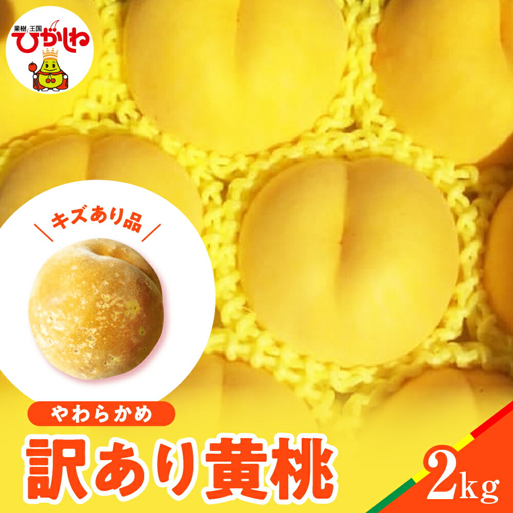 【ふるさと納税】【 2025年産 先行予約 】 黄桃 品種おまかせ 訳あり 2kg ( やわらかめ )<br><br>桃 もも モモ ピーチ フルーツ 果物 くだもの 訳アリ 傷 規格外 不揃い 期間限定 大容量 冷蔵配送 先行予約 取り寄せ グルメ ご当地 特産 直送 送料無料 東北 山形県 東根市