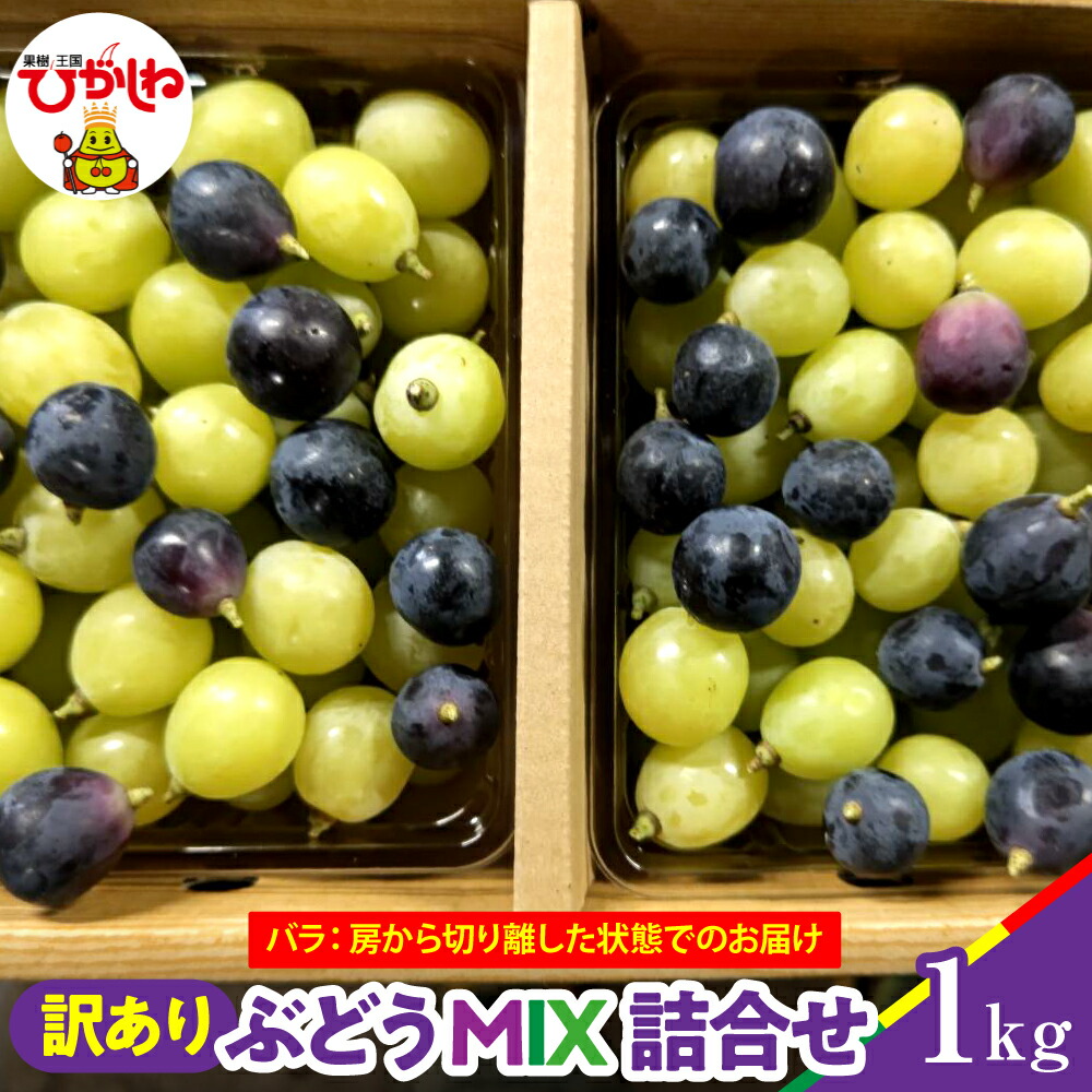 【ふるさと納税】【 2026年産 】ぶどう MIX 詰め合わせ 訳あり バラ 約1kg ぶどう 葡萄 シャイン マスカット ピオーネ ナガノパープル ミックス 果物 くだもの フルーツ 期間限定 2026 令和8年度 冷蔵 先行受付 グルメ 送料無料 ご当地 山形県 東根市 松栗提供
